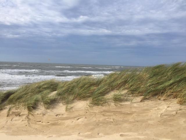 De Nollen Lägenhet Egmond aan den Hoef Exteriör bild